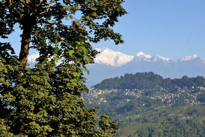 Darjeeling Bnb Kültér fotó