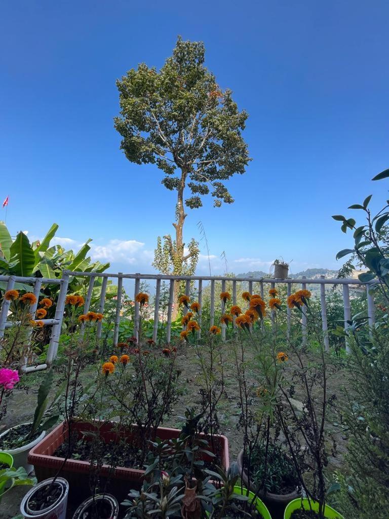 Darjeeling Bnb Kültér fotó