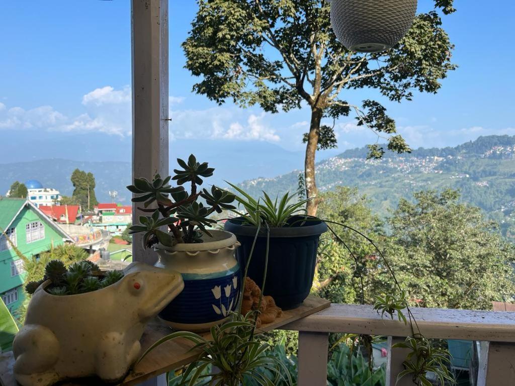 Darjeeling Bnb Kültér fotó